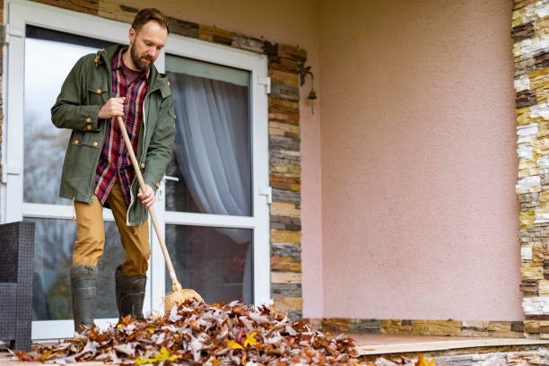 Yard Cleanup Services in Harmony Grove, CA